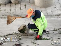 县城市管理执法局：节前开展“三清”行动守护家园底色