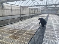 大庙乡：实地督导解难题 精准发力促发展