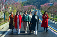 踏春赏景中展英姿