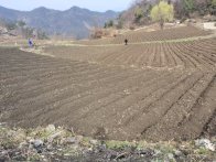 深河乡：春耕不误农时 深耕不负良田