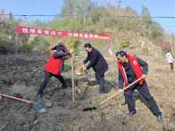 竹坪乡义务植树添新绿