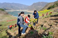 上庸镇：“红马甲”植绿圣水湖 