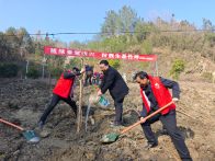 竹坪乡：植绿护绿美环境  文明实践树新风