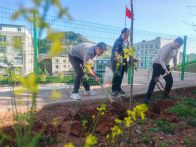 擂鼓镇小学：播撒新绿育桃李 同心共建美校园