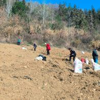 大庙乡：烟地“开沟起垄”绘新篇