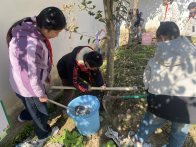 双台乡吉阳小学：“植”此青绿  共“树”未来