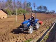 柳林乡：烟田沃野涌春潮