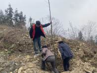 大庙乡开展春季义务植树活动