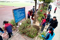 麻家渡镇小学：党建引领添新绿 义务植树当先锋