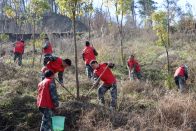 县退役军人事务局：“植”此青绿  老兵先行  