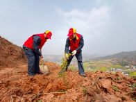 县供电公司：不负春光添新绿