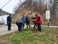 双台乡开展春季义务植树活动