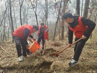 文峰乡青年志愿者植树添绿护青山