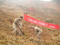 溢水镇退役军人服务站开展植树节活动