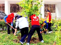 竹坪中学：师生齐种树 校园添美景