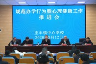 宝丰镇：“全员心育+阳光体育”实现“健康第一”目标