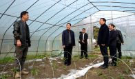 龚世华调研果蔬、食用菌产业发展