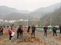 楼台乡开展义务植树活动 干群携手添新绿