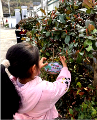 深河乡中心幼儿园：开展植树节主题活动