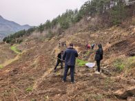 大庙乡：不负春光抢农时 开沟施肥备耕忙