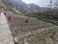 竹坪乡：抢抓农时备春耕 奋力夺取“开门红”