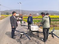 宝丰镇农技中心：无人机飞防 护航油菜增产增收