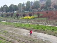 麻家渡镇：争做护河先锋 共建文明河流