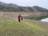 深河乡：志愿护河筑屏障 守护碧水惠民生