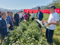 【十星好人】胡群：“星”光点亮振兴路