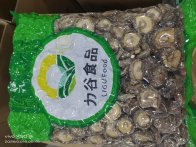 湖北力谷公司春节后首批海外订单交付