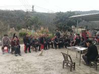 深河乡：小院话新风  文明润心田