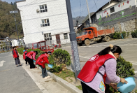 楼台乡：播种绿色希望 守护美丽家园