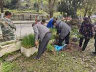 柳林乡：集镇管护绘新颜