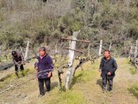 楼台乡：春节管护正当时  奏响丰收前奏曲