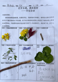 深河乡九年一贯制学校：把心理健康课搬进了大自然