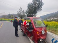 上庸镇：安全协议护航“明前”茶香