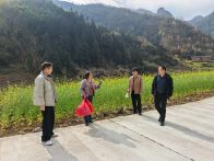 溢水鎮(zhèn)：多措并舉筑防線  清明護綠守平安