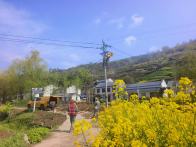 县供电公司：带电作业保供电 村民用电“无感知”