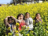 大庙乡中心幼儿园：走进自然寻春意 快乐踏青伴成长