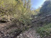 县饮水办复核农村饮水提质增效项目
