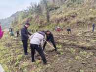 上庸鎮：精細管護促提質 碩果盈枝助振興