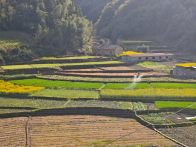 上庸鎮：飛防作業護航春耕生產