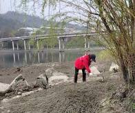 县河道管理所今年累计清理15吨