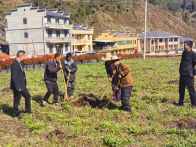 上庸鎮：干群攜手齊發力 人居環境煥新顏