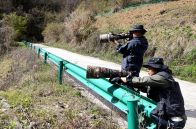 80余名觀鳥(niǎo)愛(ài)好者齊聚堵河源