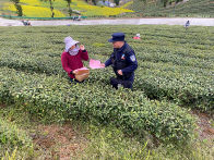 官渡鎮全民動員筑牢森林“防火墻”