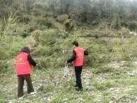 官渡鎮：志愿護河凈水域　凝心聚力守碧水