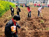 擂鼓鎮(zhèn)小學(xué)：多彩勞動(dòng)課   實(shí)踐促成長