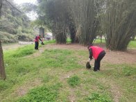 麻家渡鎮(zhèn)：同心扮靚文明河  攜手共創(chuàng)凈美村