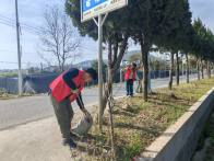 寶豐鎮(zhèn)：全域推進(jìn)“五邊行動(dòng)” 共建宜居和美鄉(xiāng)村